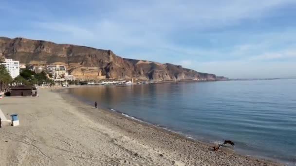 Agualdulce Coast Landscape Mountains Sandy Beach Playful Dogs Mediterranean Sea — Stock video
