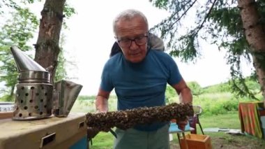 Bal üreten fantastik arı kovanı, doğa, insan ve arı, tatlı bal, bal peteği, nektar, arıcılık, arıcılık, bal işleme, Katowice veya Katovice, Polonya