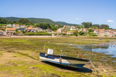 Suda yetişmiş eski bir tekne Combarro, İspanya, Galiçya