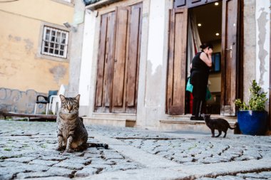 Portekiz 'in kuzeyinde, turistik olmayan yerlerde Porto sokaklarının gerçek manzarası.