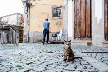 Portekiz 'in kuzeyinde, turistik olmayan yerlerde Porto sokaklarının gerçek manzarası.