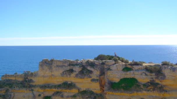 Vista Incrível Mais Famosa Praia Marinha Algarve Portugal — Vídeo de Stock