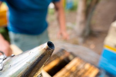 Bal üreten muhteşem arı kovanı, doğa, insan ve arı, tatlı bal, bal peteği, nektar, arıcılık, Polonya