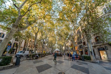 Palma de Mallorca, İspanya - 30 Ekim 2023: İspanya 'da Paseo del Borne adlı güzel caddenin fotoğrafı