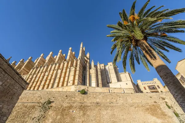 Hermosa Vista Catedral Palma Mallorca España Europa — Foto de Stock