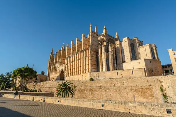 Blick Auf Die Kathedrale Palma Mallorca Spanien Europa lizenzfreie Stockbilder