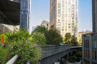 Green High Line Park, Manhattan, New York, ABD ile çevrili.