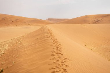 Namibya 'daki Sossusvlei bir çöl harikasıdır. Güneş doğarken ve batarken parlayan dev kırmızı kumulları ve korkunç derecede güzel ölü ağaç vadileri ile ünlüdür..