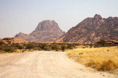 Namibya 'daki Spitzkoppe Halk Kampı' nda Granit tepeler ve engebeli çöl manzaraları. Dağılmış akasya ağaçlarıyla altın çayırlar, berrak gökyüzünün altındaki dramatik kayalık dağlara karşı tezat oluşturuyor..