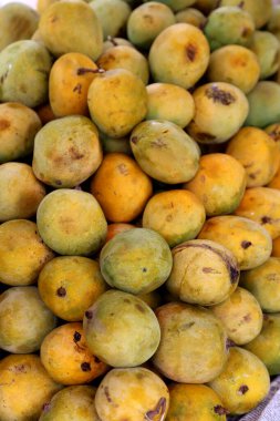 Piyasada taze sarı erikler
