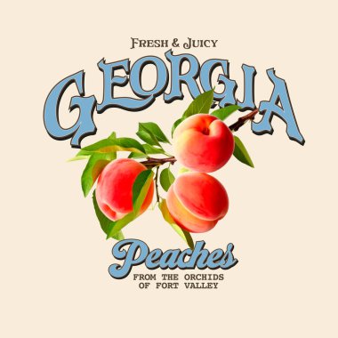 fresh and juicy georgia peaches with slogan artwork for fashion and others. food fashion graphics for apparel. peaches artwork. clipart