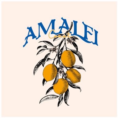 amalfi sahil limon şubesi vektör sanatı, İtalya 'nın yaz mevsiminde tişört için vektör çizimi, tipografi ile grafik baskı, antika yaz tasarımı