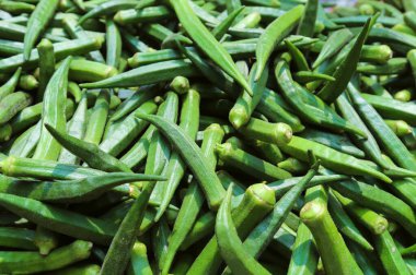 Kadın parmak geçmişi. Piyasada bir sürü yeşil kadın parmağı var. organik taze bayan parmağı satılık..