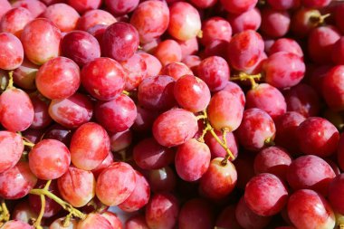 Kırmızı üzümlü arka plan. Bir sürü olgun üzüm.