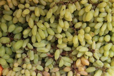 Yeşil üzüm dokusu arka plan, üzüm desenleri fotokopi alanı, yeşil şarap üzüm duvar kağıdı