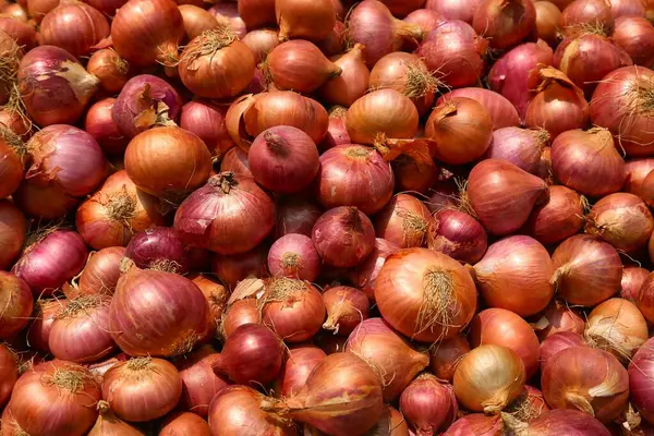 Pazarda satılık bir sürü taze soğan. Bangladeş 'teki pazarda satılık kırmızı soğan ampulü..
