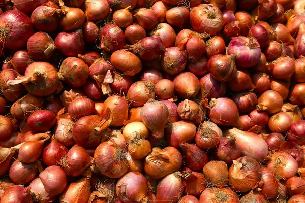 Pazarda satılık bir sürü taze soğan. Bangladeş 'teki pazarda satılık kırmızı soğan ampulü..