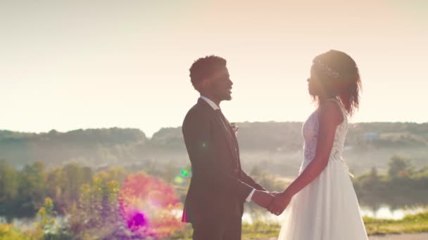 Αφρο Αμερικάνο Ζευγάρι Που Κρατιούνται Χέρι Χέρι Και Μιλούν Ρομαντικούς — Αρχείο Βίντεο