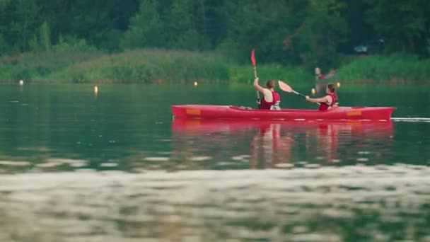 Älskade Par Paddlar Vatten Nära Skogen Ung Man Med Charmig — Stockvideo