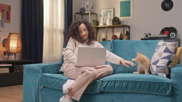 一个忙碌的女人在舒适的房间里用智能手机和同事交流 年轻的女性在玩她那只有趣的红猫的时候用笔记本电脑 可爱的家养动物咬着主人 然后跳到沙发上 — 图库视频影像