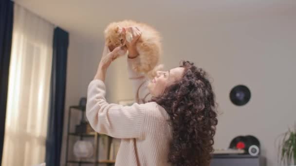 可敬的白人女人手牵着她的红猫 美丽的女人 一头乌黑的头发 抬起她的家畜 和它一起玩耍 开心地笑着 一起玩乐 — 图库视频影像