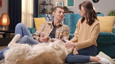 Güzel beyaz kadın, köpekleri kadın bacakları üzerinde dinlenirken sevgili kocasıyla iletişim kuruyor. Erkek komik bir hikaye anlatırken kadın Labrador 'u okşuyor. Aile kavramı.