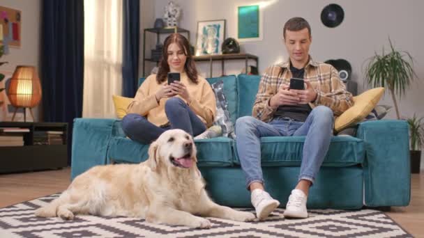 漂亮的白人夫妇坐在沙发上 用电话 躺在地板上的人面前放着毛茸茸的狗 它们用舌头呼吸着 与宠物及数码设备共度周末 — 图库视频影像