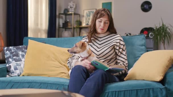 可敬的白人女人坐在柔软的沙发上看书 可爱的狗躺在女人的腿上 观察房间 花时间在一起 在家里放松 休闲活动A 霍比概念 — 图库视频影像