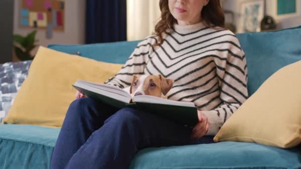 Female Reader Cozy Sweater Reading Book While Her Cute Doggy — Stock Video
