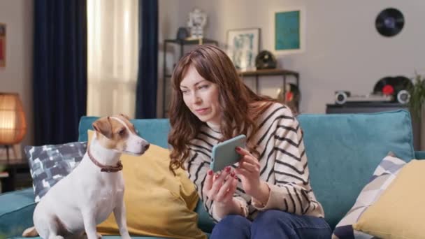 可爱的高加索女人拿着电话 在传感器屏幕上向她的狗展示一些东西 可爱的杰克罗素坐在蓝色的沙发上 全神贯注地看着 对家畜的爱 宠物的概念 — 图库视频影像