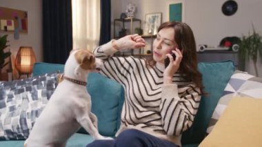 Çekici beyaz kadın, koltukta rahatça otururken akıllı telefondan biriyle aktif olarak konuşuyor. Kadın sahibi lezzetli yiyecekler bekleyen komik köpeği besliyor. Uzak iletişim.