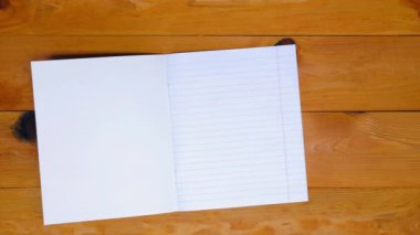Bir satırda defter, alfabe, okul masasındaki kalemler. Öğretmen sınıftaki masanın üzerine okul malzemeleri serer. Stüdyodaki usta dersler için malzeme hazırlıyor. Üst Manzara. Kapat.