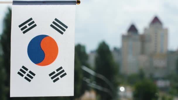 Flag South Korea Set Blue Sky Green Trees City Street — стокове відео