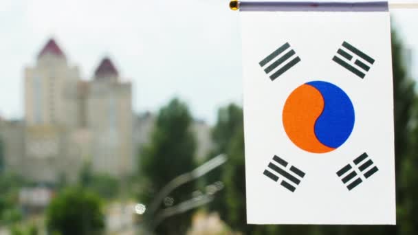 Flag South Korea Set Blue Sky Green Trees City Street — Wideo stockowe