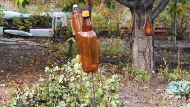 Scarecrow Garden Homemade Devices Plastic Bottle Scare Away Birds Animals — Videoclip de stoc