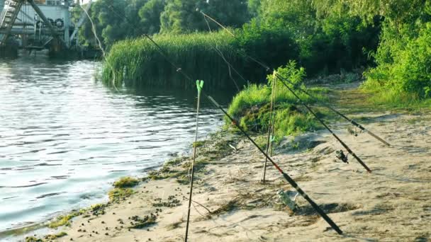 Fishing Rods Sunny Beach Fishing Rods Tackle River Bank Background — Vídeo de Stock