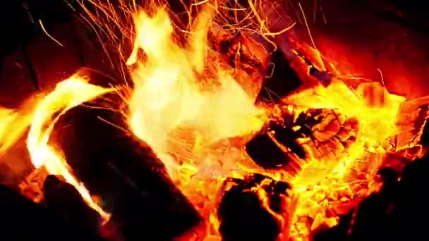 Live Coals Beautiful Fire Background Hot Red Coals Flare Fire — Video Stock