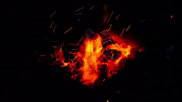 Ogień Jest Szturchany Kijem Gorąco Czerwone Żółte Węgle Rozbłyskują Ogniu — Wideo stockowe
