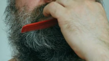 Vahşi sakallı bir adam. Yetişkin bir adam gür, dağınık kahverengi sakalını ve bıyığını tarak ile tarıyor. Sakallı bir adamın yüzünün alt kısmı. Uzun kıvırcık sakallı ve bıyıklı. Yakın plan.