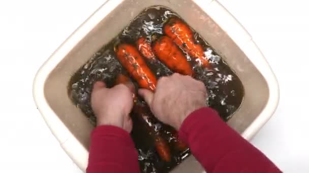 Homem Lavar Cenouras Mãos Homens Cuidadosamente Lavam Cenouras Vermelhas Maduras — Vídeo de Stock