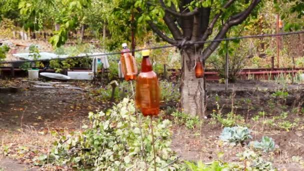 Σκιάχτρα Πουλιών Στον Κήπο Πλαστικά Μπουκάλια Θρόισμα Στον Άνεμο Τρομάζοντας — Αρχείο Βίντεο