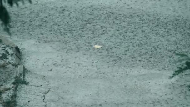 歩道に大雨 雨が道路に降る スローモーション 高速道路の水たまりの真ん中に紙のシート 高速道路の水の中に雨の泡 市内の自然悪天候 — ストック動画