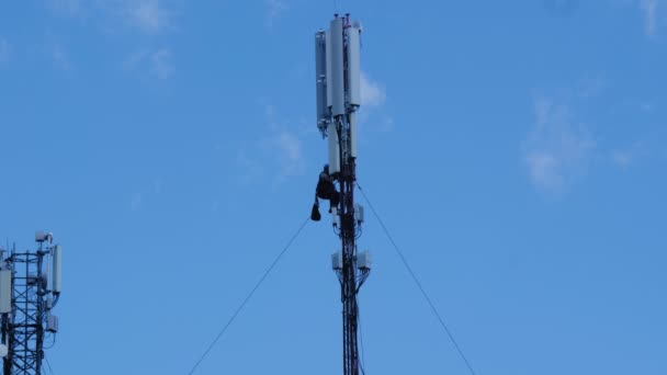 Technik Naprawia Wieżę Komórkową Profesjonalny Alpinista Wspina Się Wysoką Wieżę — Wideo stockowe