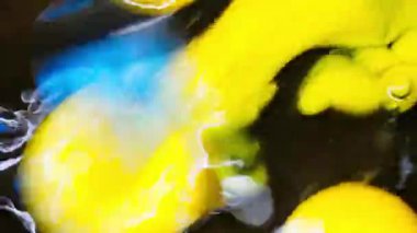 Yumurta karıştırma. Yumurta karıştırıyorum. Yumurta sarısı ve beyaz, bir kasedeki çatalla karıştırılır. Omleti hazırlamak için yumurta karışımını sallıyorum. Sabah kahvaltısı hazırlanıyor. Yakın plan. Yumurta köpüğü. Sağlıklı yemek..