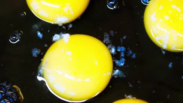 鸡蛋撒满了盐 煮炒鸡蛋 慢动作蛋黄和白蛋白准备煎蛋卷 准备早上的早餐特写 健康食品 — 图库视频影像