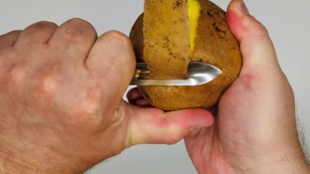 Kartoffeln Schälen Die Hände Des Menschen Beim Kartoffelschälen Ein Mann — Stockvideo