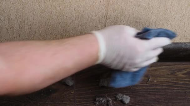 一个人的手用湿布擦拭着李子上的灰尘 清理一个非常肮脏的房子 清洁及消毒肮脏的地面 公寓的污染非常严重 穿上衣服清洁服务 — 图库视频影像