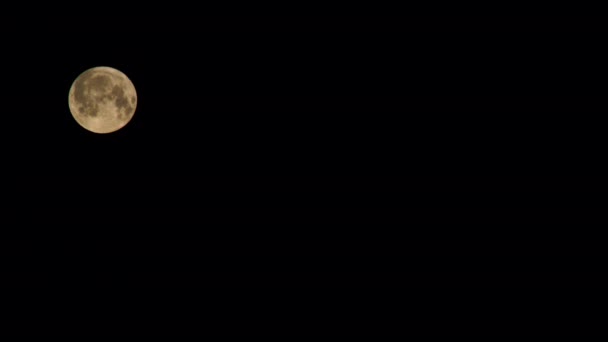차적으로 하늘로 내려온다 이없는 밤하늘에 다가오는 아름다운 달빛의 클로즈업 보름달 — 비디오