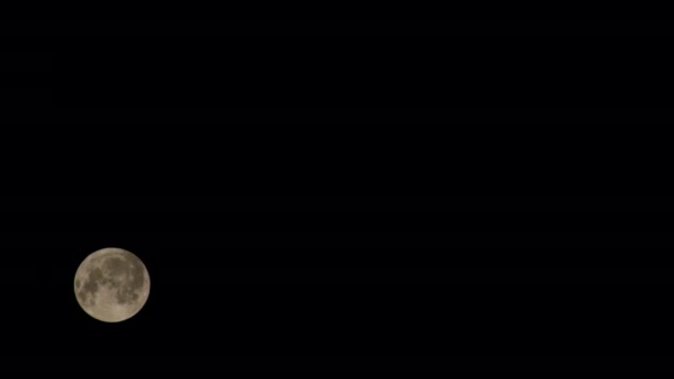 Volle Heldere Maan Komt Geleidelijk Aan Zwarte Hemel Een Prachtige — Stockvideo