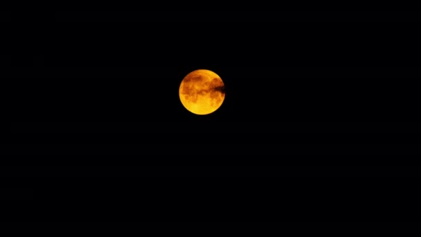 満月だ スーパームーン 満月を背景に黒い不吉な雲が浮かび上がる 美しい月明かりの夜 嵐が来る 接近中だ 満月ゆっくりと黒い雲と漂流 — ストック動画